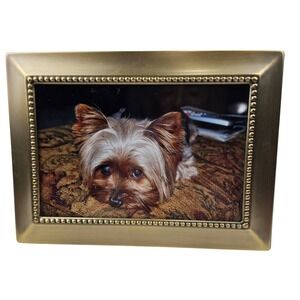 Bronze Beaded Picture‎ Frame Display Yorkie Photo Art Decor MSE Tabletop